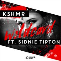 KSHMR feat. SIDNIE TIPTON