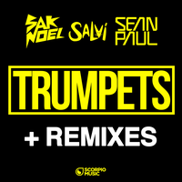 SAK NOEL feat. SEAN PAUL & SALVI