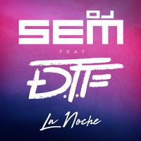 DJ SEM feat. DTF