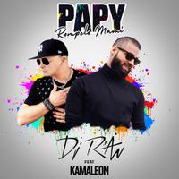 DJ R'AN feat. KAMALEON