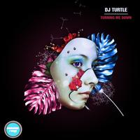 DJ TURTLE